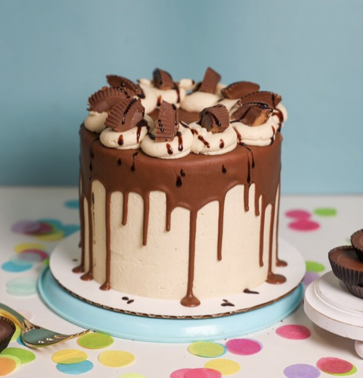 Screen Shot 2023-02-21 at 10.48.35 AM.png