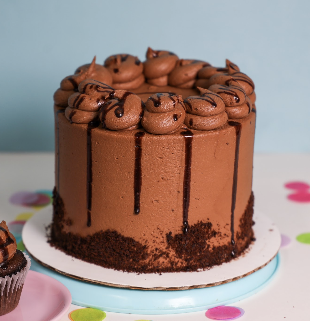 Screen Shot 2023-03-01 at 11.13.20 AM.png